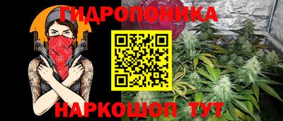 гашик Краснознаменск
