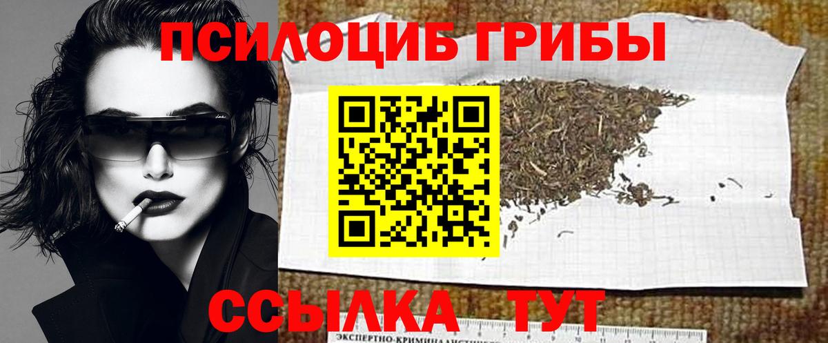 Кемерово  Галлюциногенные грибы Cubensis  Псилоцибиновые грибы мицелий  что такое   Вход с VPN 